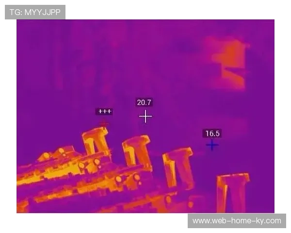 红外热成像技术在入场执行中广泛覆盖 强化了公共卫生安全的监控力度